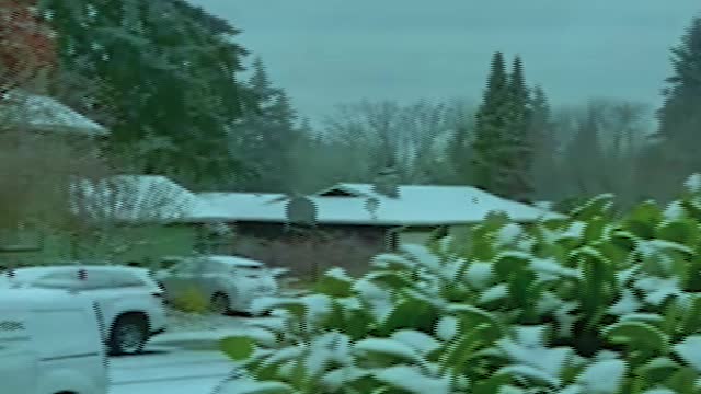 The heaviest snowfall in Seattle! A snowstorm sweeps people's houses