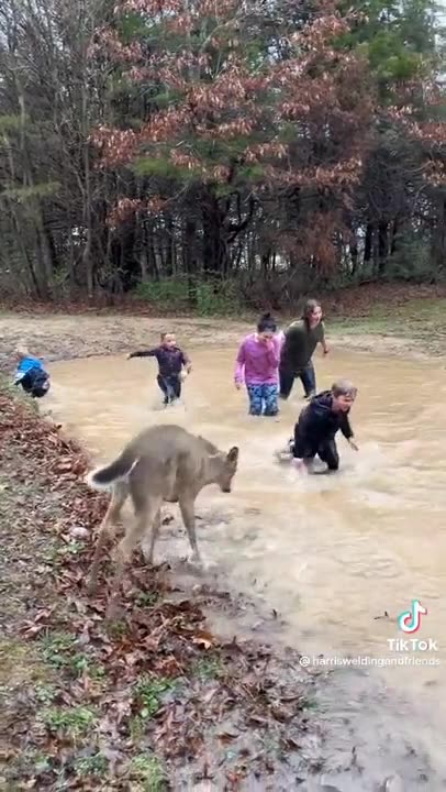 Rural kids living the free life.