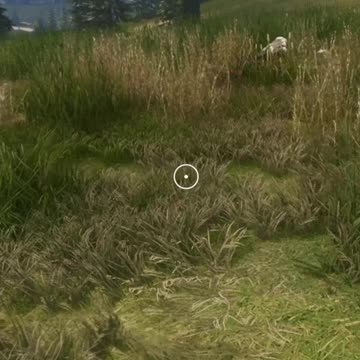 Turkey for Days... and Bacon! MMM, BACON!!! Hunter Call of the Wild