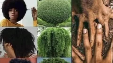 So We're Not The Originator Now?