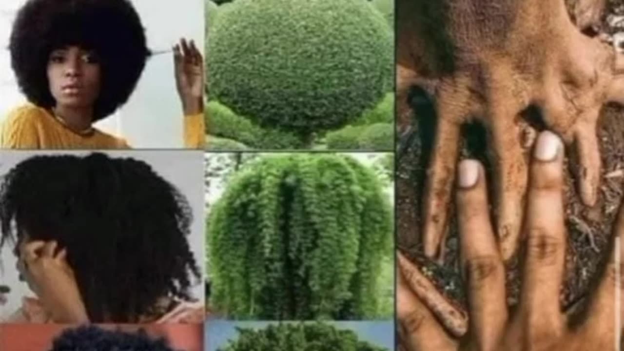 So We're Not The Originator Now?