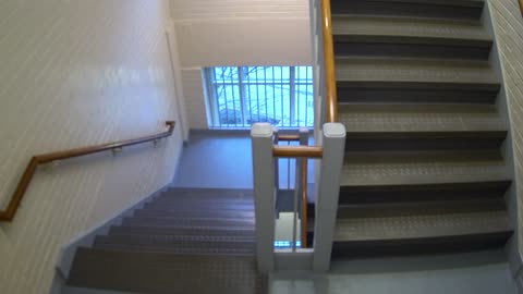 3896FHOB05Stair8_2021-01-06_07h54min17s953ms.mp4