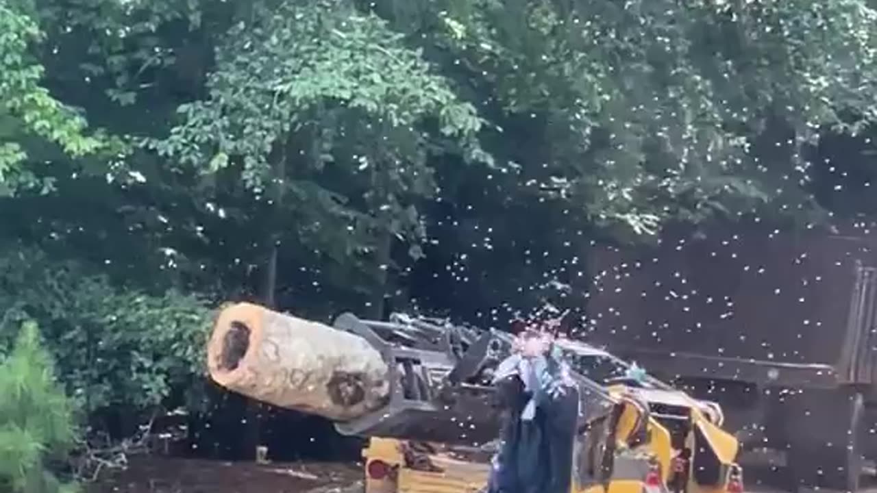 dude gets swarmed by either bees or wasps.