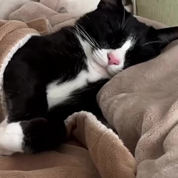 Exactly how I sleep 🤣