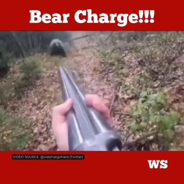 Bear Attack: Close call caught on tape...