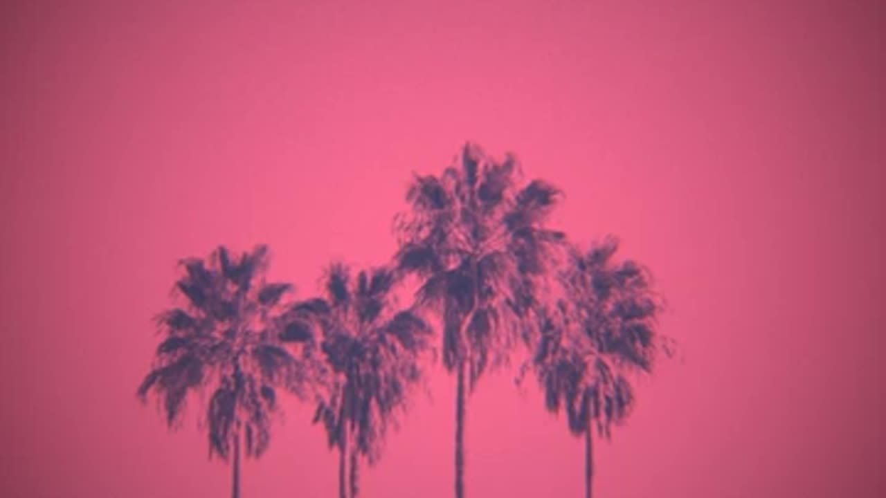Gemini Drive ~ Destination Miami