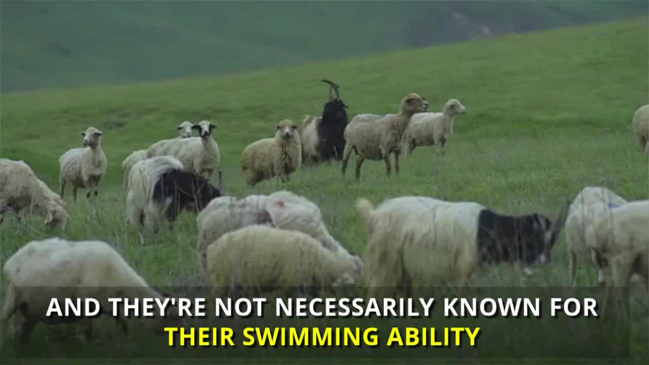 They Head Out On Their Canoe For A Quick Trip. Now Pay Attention As The Camera Whips Around..