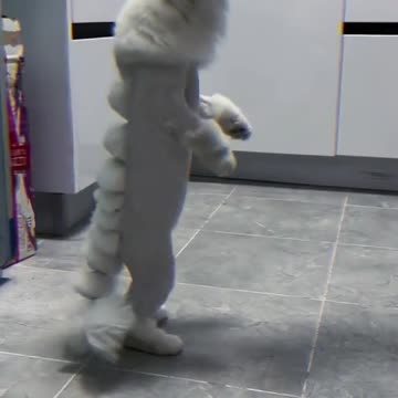 Laugh Out Loud with the Funniest Cat Video of All Time