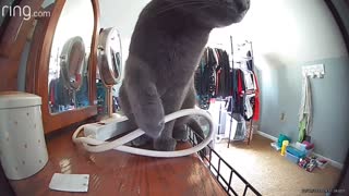 Curious Kitty Investigates New Camera