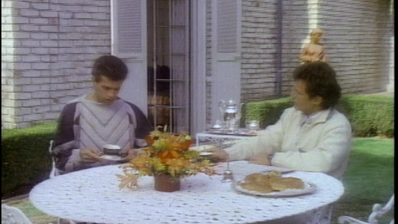 Falcon Crest S5E18