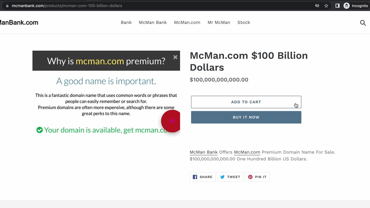 McMan.com $100 Billion USD April 6, 2023