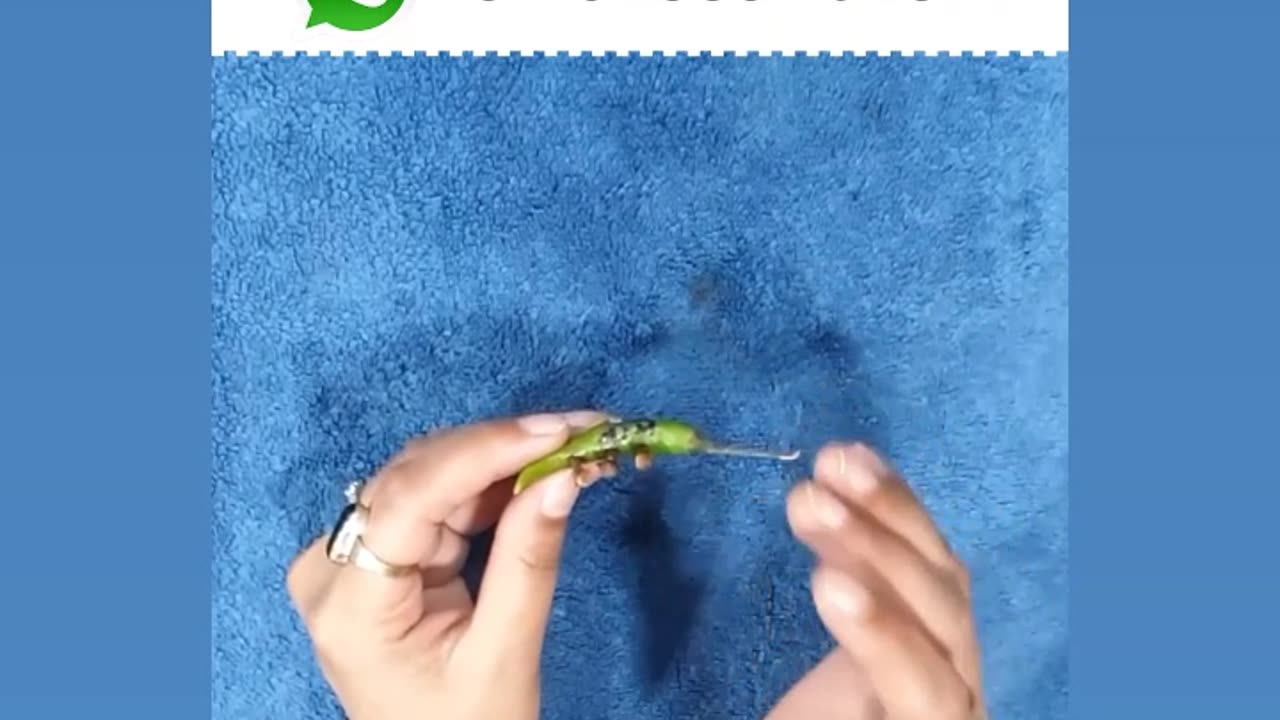 How to make your girlfriend