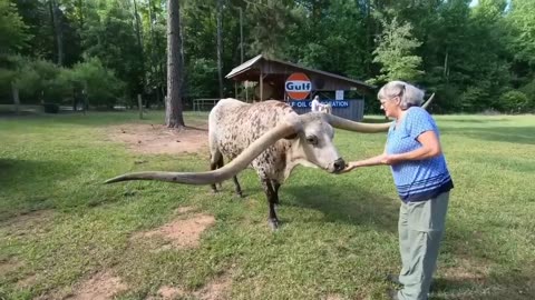 Farmer Discovered Something Weird