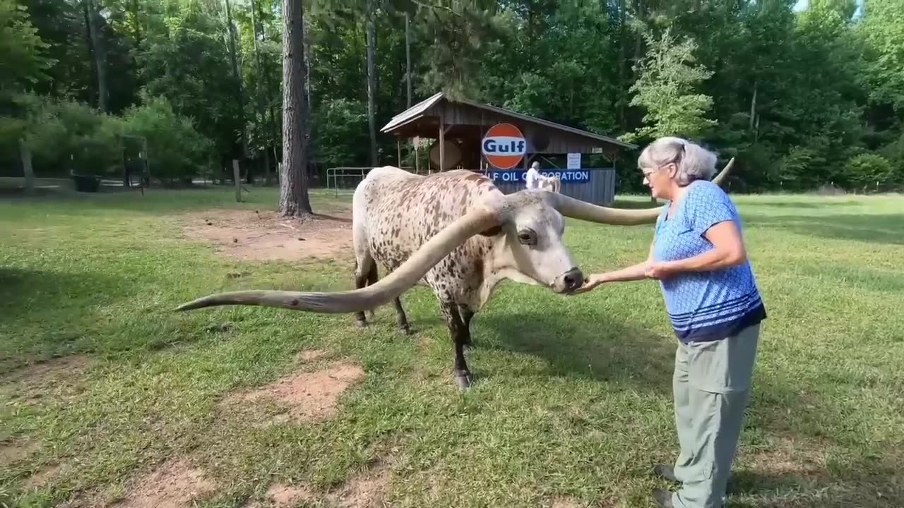 Farmer Discovered Something Weird