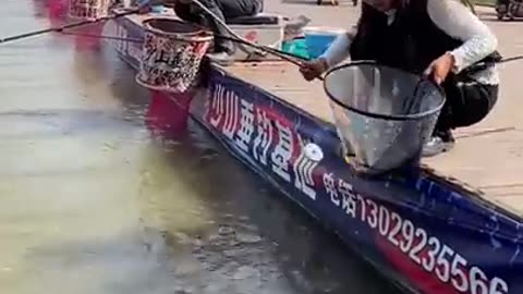 Best Asian Fishing Video