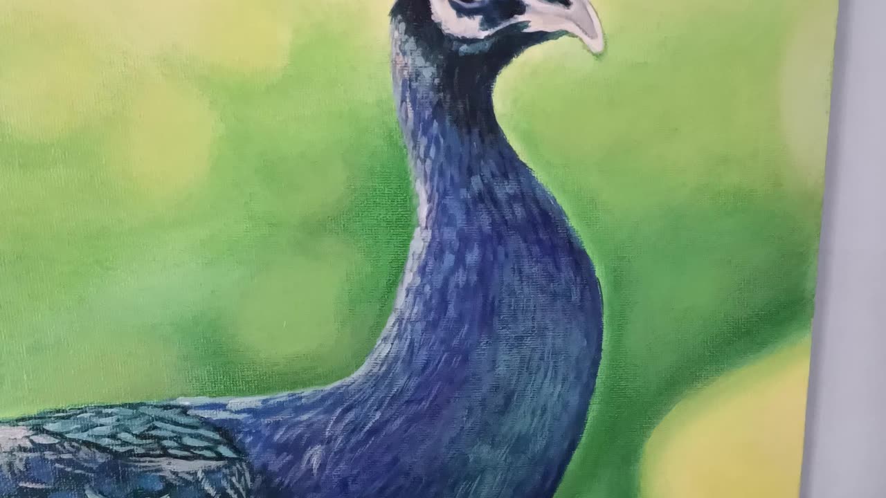 Peacock painting on canvas | painter k. Chauhan ART gallery SANGRUR