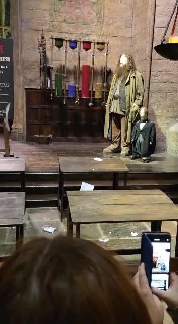 In hogwarts for the day harry potter