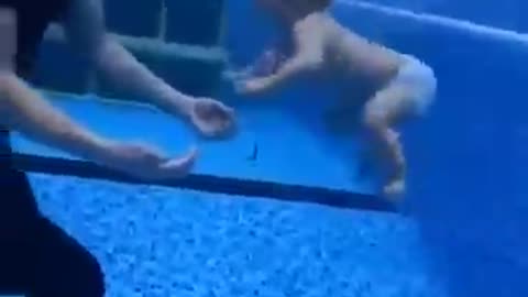 Baby Swimming: A Beginner's Guide