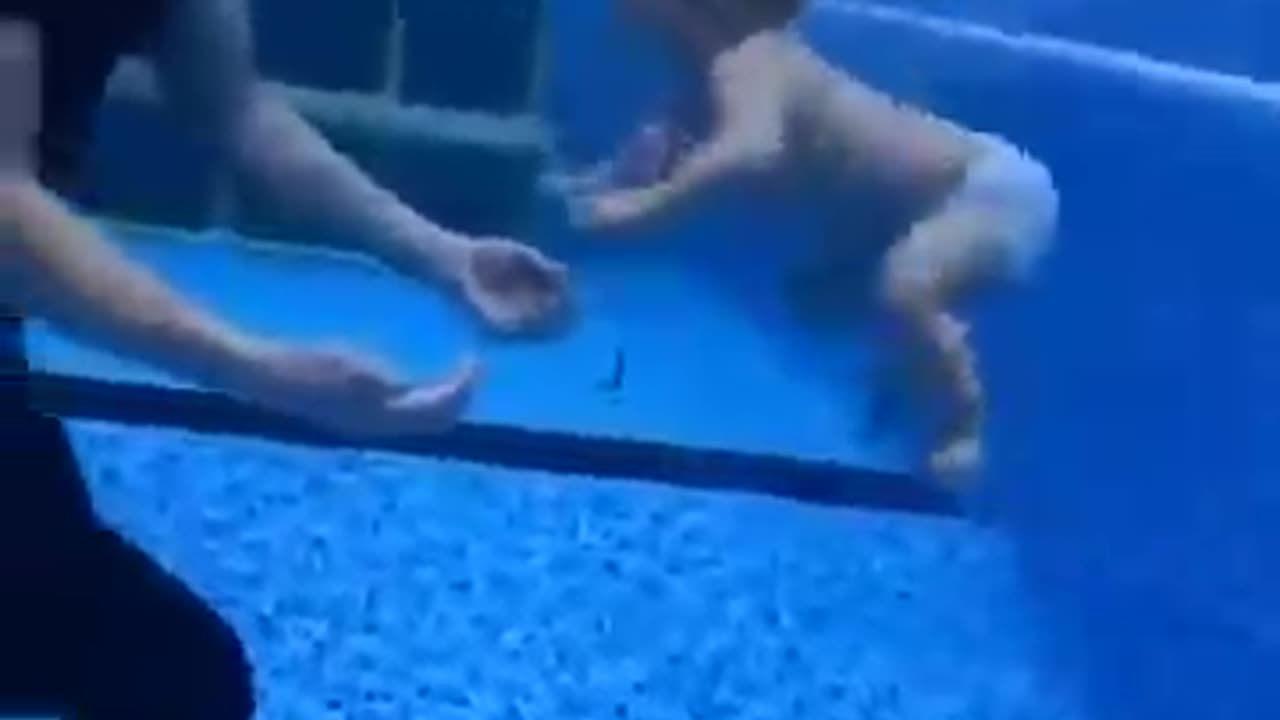 Baby Swimming: A Beginner's Guide