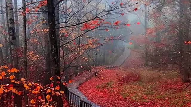 Would you like the beautiful scenery