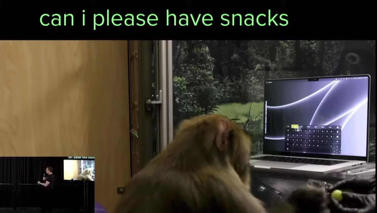 A Neuralink-trained monkey doing Telepathic Typing, using just his mind…