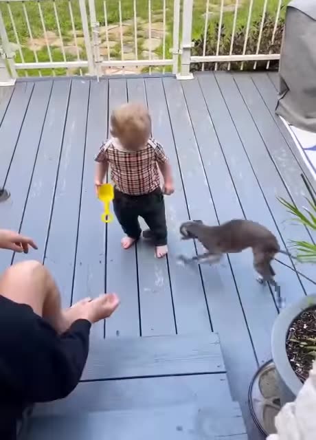 Two years ago my baby brother Harrison was born. My dads weren