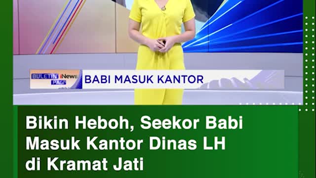 Bikin Heboh, Seekor Babl Masuk Kantor Dinas LHdi Kramat Jati