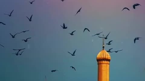 Quran Recitation Whatsapp Status Video Download , Full Screen_9