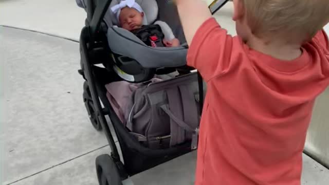 Toddler Pushes His New Baby Sister in the Stroller