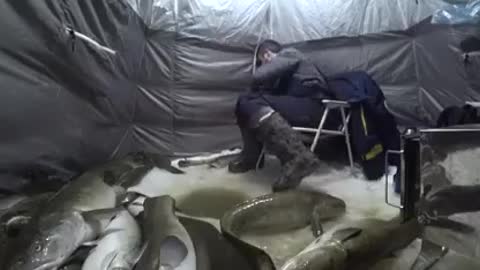 Winter fishing, catching big fish.