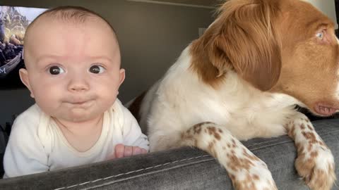 Dog and Baby Look Out Window Together