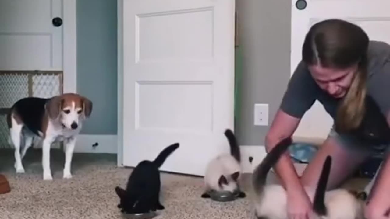 Video no. 90 you get a surprise in one of our videos stay tuned
