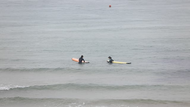 a female surfer