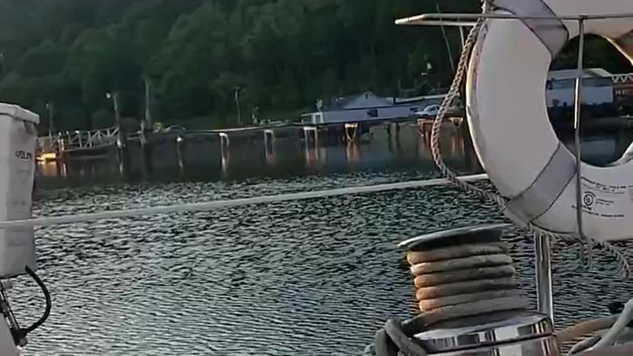 A nice summer evening.