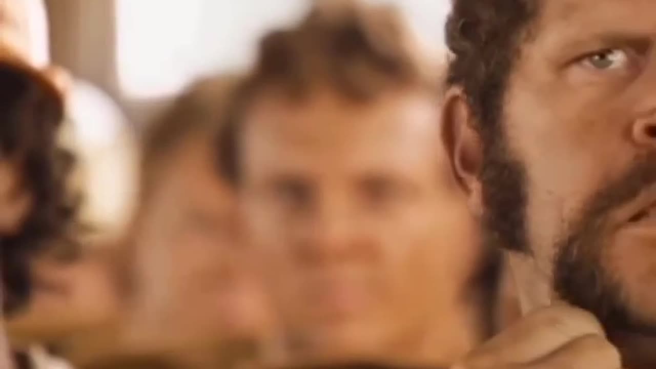 Funny and lovely Dog