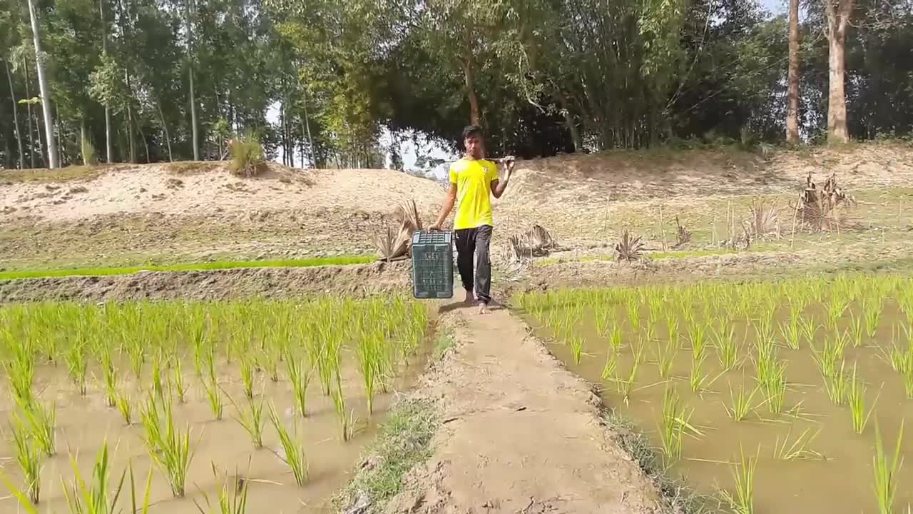 Amazing Easy Fish Trap | Unique Easy Fish Trap System for Catch Fish in River-5