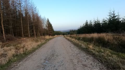 Just saw a stag. Vlog. Hiking in a forest GoPro