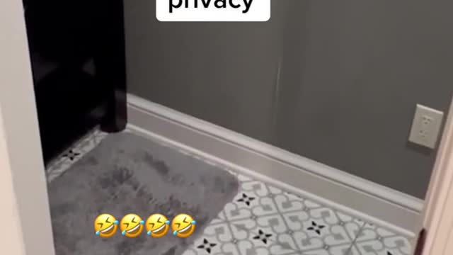 This toddler just wants privacy