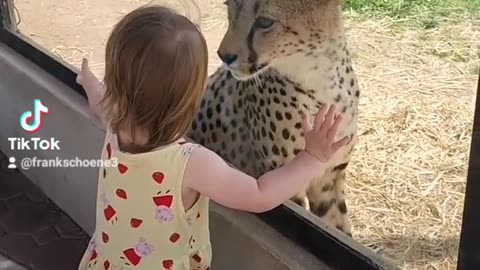 interest in each other