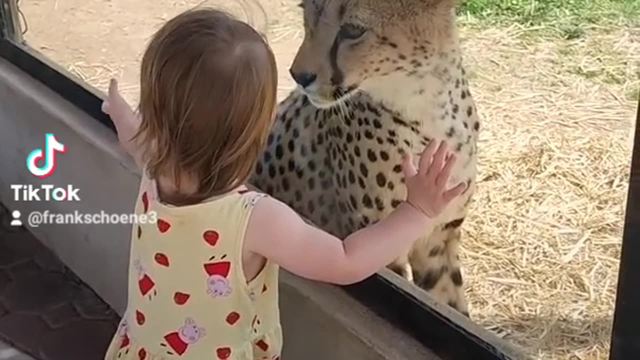 interest in each other