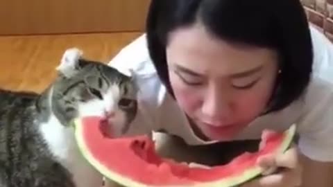 Funniest animals 2023😂 funniest cat's and dog's funny videos compilation 😸🐶