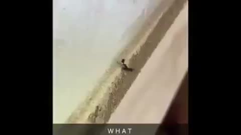 Wait, Whattttt ?????????????