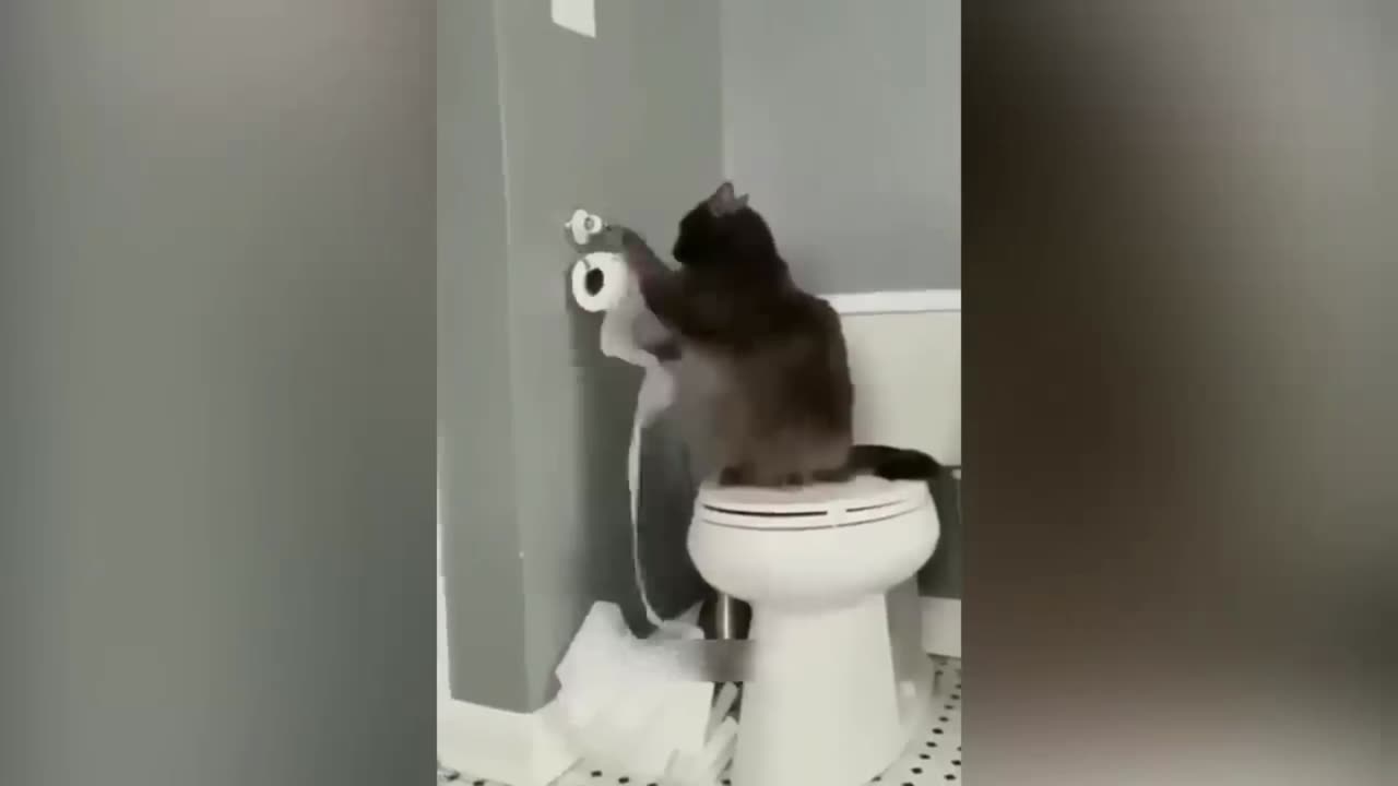 Funny Animal Videos 2023 π - Funniest Cats And Dogs Video πΊπ