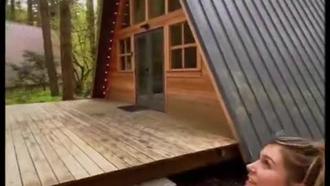 A cabin in the woods