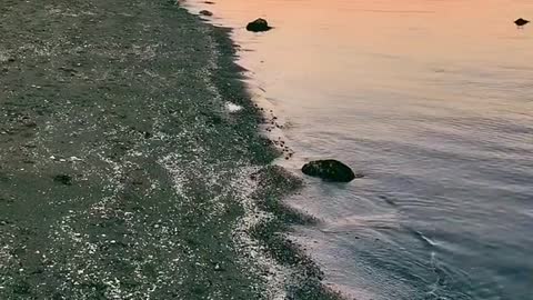 Double Bluff Beach