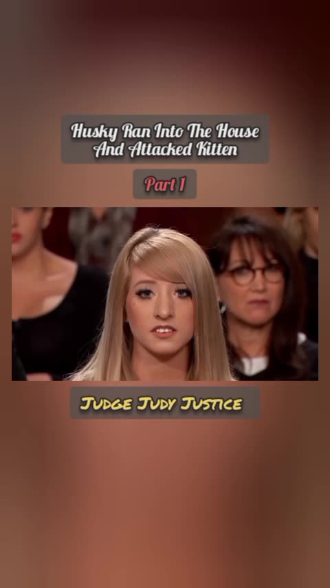 Husky Ran Into The House And Attacked Kitten | Part 1 | Judge Judy Justice