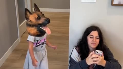 funny Doggy Prank with mom