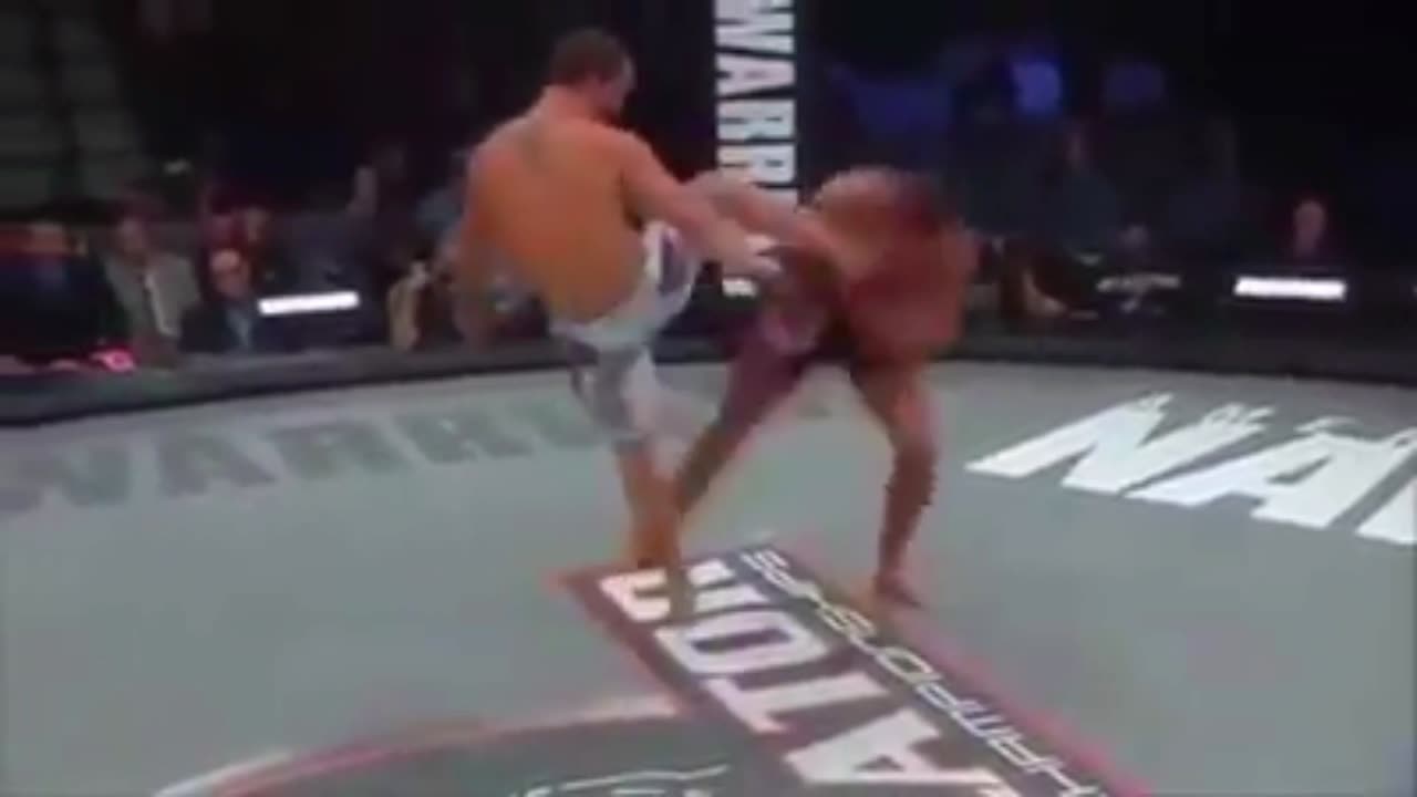 MMA Uppercut KO