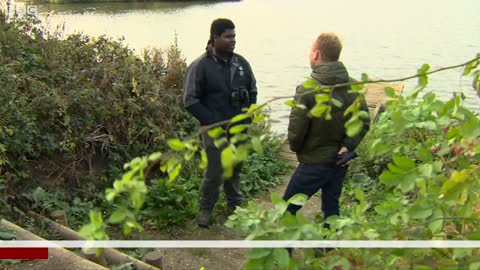 The Wetlands of Walthamstow – BBC London News