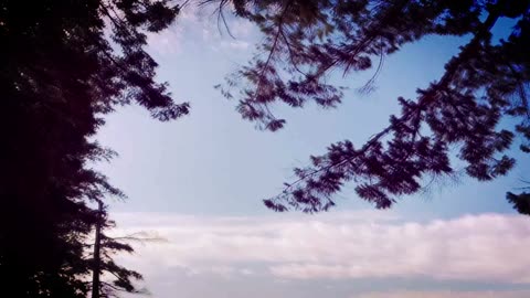 CHOPIN Etude OP.25 no.12 "OCEAN" Pianist David-Michael Dunbar